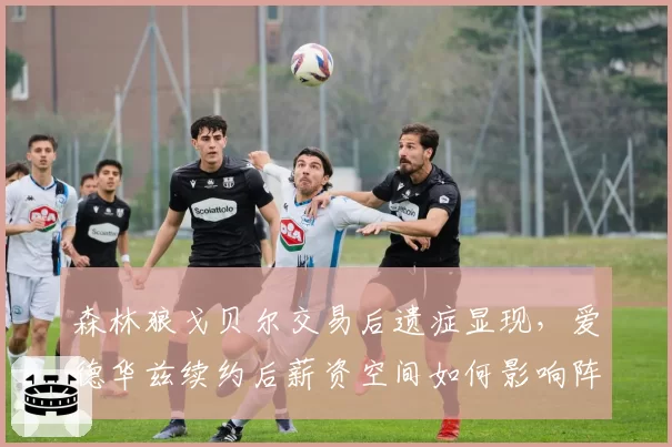 森林狼戈贝尔交易后遗症显现,爱德华兹续约后薪资空间如何影响阵容深度?