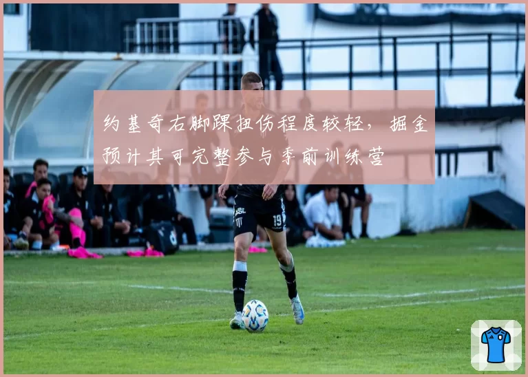 约基奇右脚踝扭伤程度较轻,掘金预计其可完整参与季前训练营