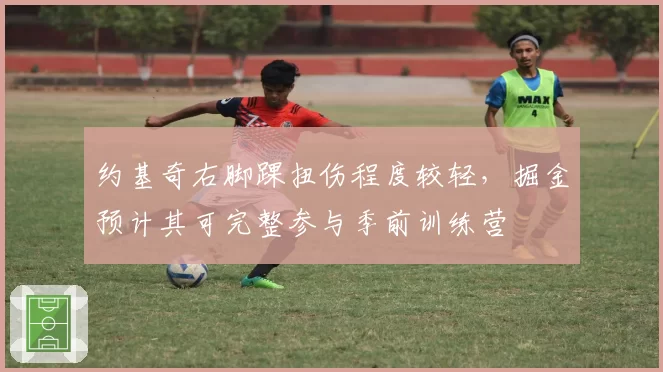 约基奇右脚踝扭伤程度较轻，掘金预计其可完整参与季前训练营